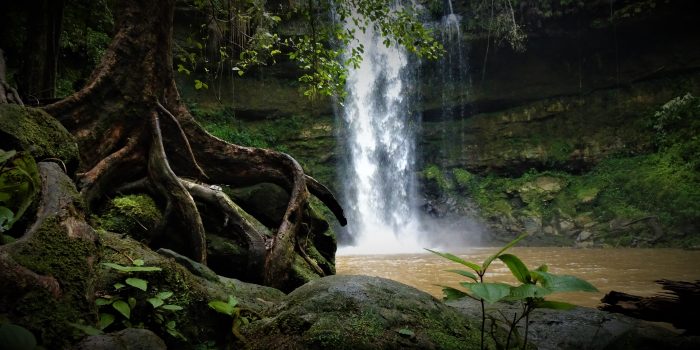 Air Terjun 86, Salah Satu Potensi Wisata di Dalam Taman Nasional Bukit Tiga Puluh yang Hampir Dilupakan